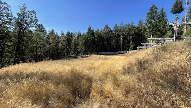 Big open flat area | Image 41