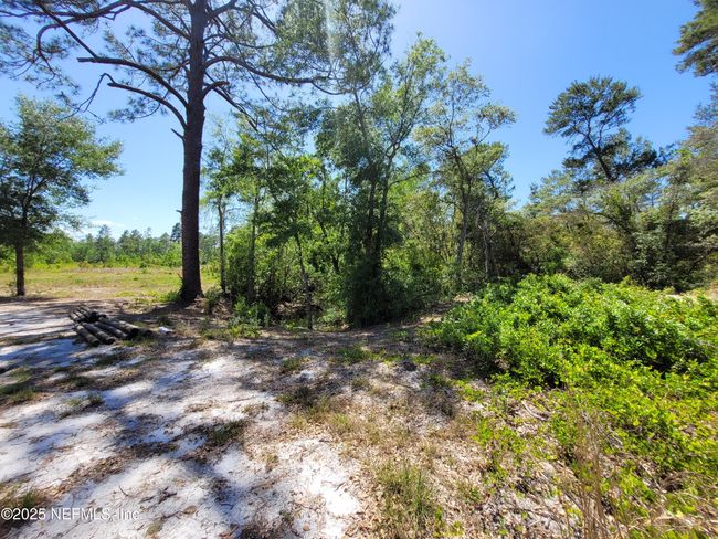 2155 State Road 40, Home with 0 bedrooms, 0 bathrooms and null parking in De Leon Springs FL | Image 74