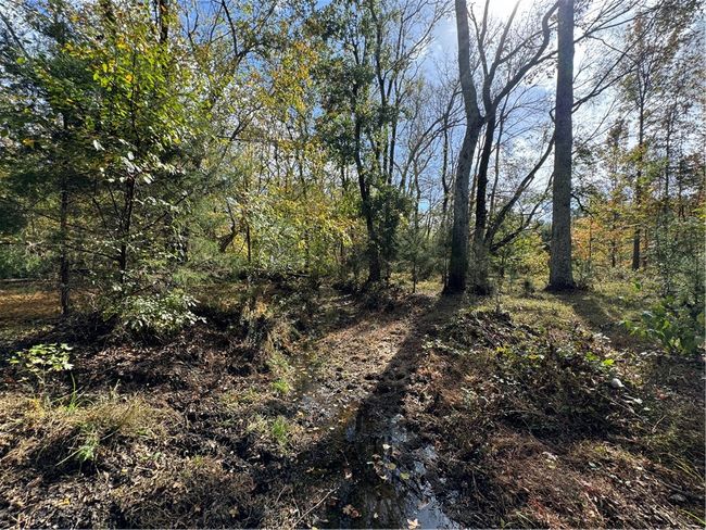 1 Seneca Street Ext, Home with 0 bedrooms, 0 bathrooms and null parking in Calhoun Falls SC | Image 17