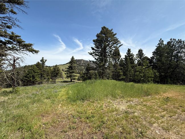 Side Yard | Image 23