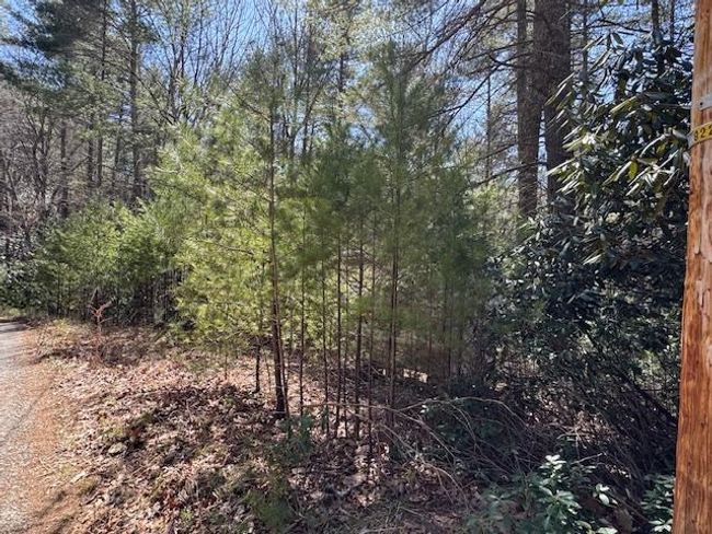 0 Buck Hollow Trl, Home with 0 bedrooms, 0 bathrooms and null parking in Sugar Grove VA | Image 7