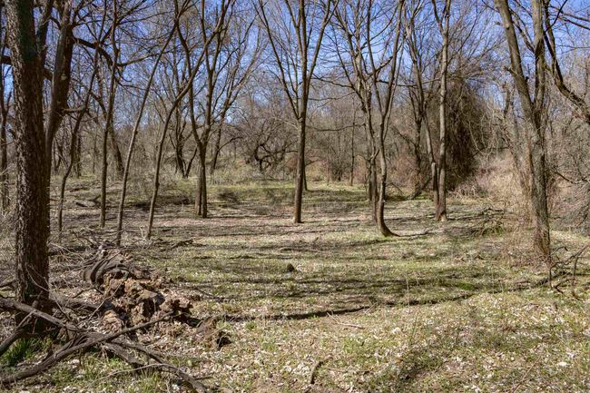 View of local wilderness with a wooded view | Image 29