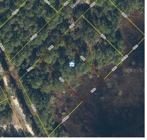 103 Brierly St, Georgetown, FL, 32139 | Card Image
