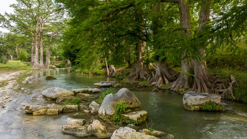 000 Rancho Del Rio Guadalupe, Comfort, TX, 75013 | Card Image