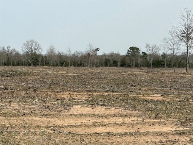TRACT-2 - TBD County Road 2425, Home with 0 bedrooms, 0 bathrooms and null parking in Como TX | Image 9
