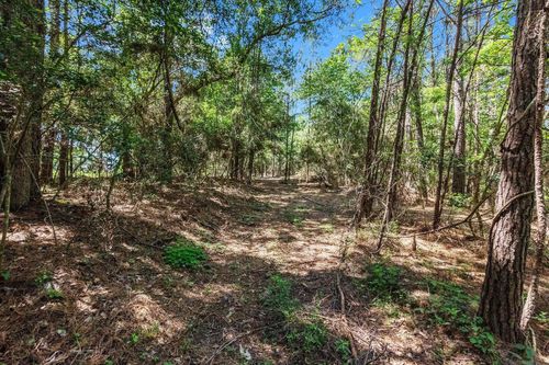 0 Paradise Dr, Coldspring, TX, 77331 | Card Image