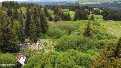 40170 Talley St, Homer, AK, 99603 | Card Image