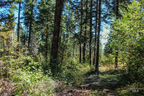 1204 Porcupine Rd, Cascade, ID, 83611 | Card Image