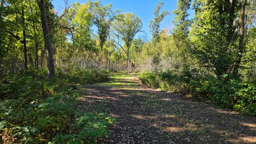 XXX Herrick Road, Siren, WI, 54872 | Card Image