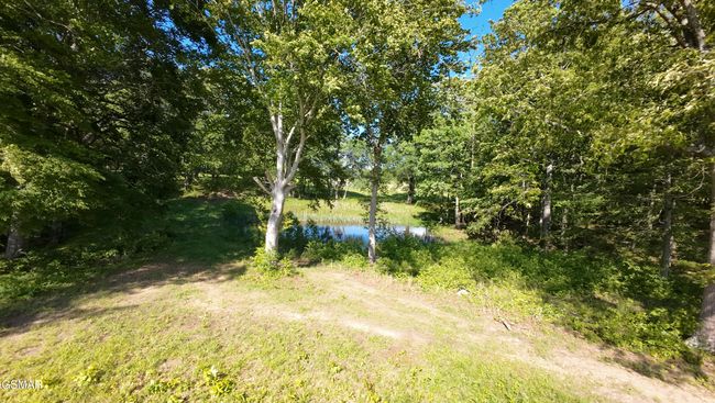 2526 Sunset Blvd, Home with 0 bedrooms, 0 bathrooms and null parking in White Pine TN | Image 15