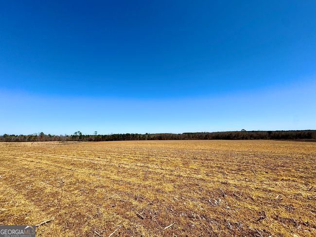2819 Stripling Rd, Home with 0 bedrooms, 0 bathrooms and null parking in Dexter GA | Image 7