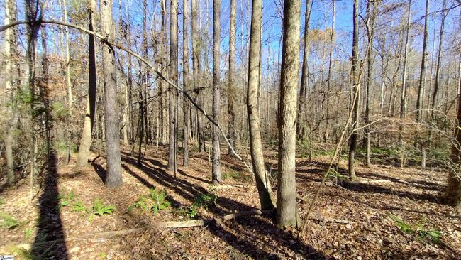 00B Sullivan Rd, Home with 0 bedrooms, 0 bathrooms and null parking in Laurens SC | Image 5