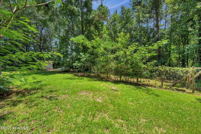 2092 John Henry Store Rd, House other with 3 bedrooms, 2 bathrooms and null parking in Currie NC | Image 30