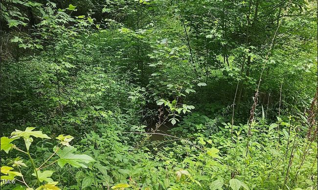 Screenshot 2024-11-04 at 9.32.51AM | Image 19