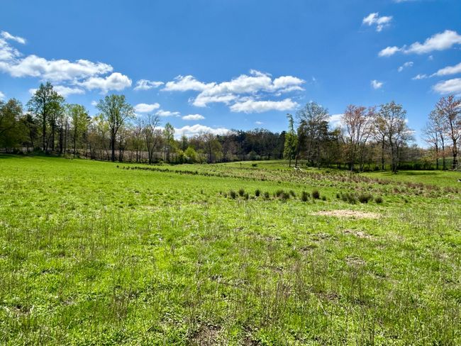 428 Dick Wilson Rd, Home with 0 bedrooms, 0 bathrooms and null parking in Strunk KY | Image 17