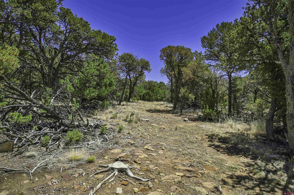 Land in Aguilar 2