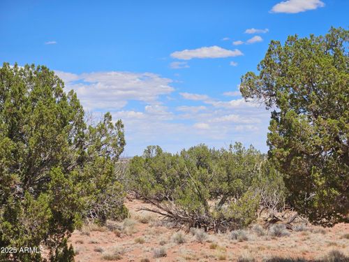 72-27 N9183, Concho, AZ, 85924-1342 | Card Image