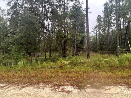TBD Ne 111th Ln, Bronson, FL, 32621 | Card Image
