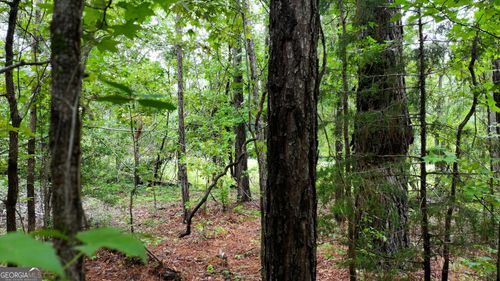 0 Boiling Springs Rd, Soperton, GA, 30457 | Card Image