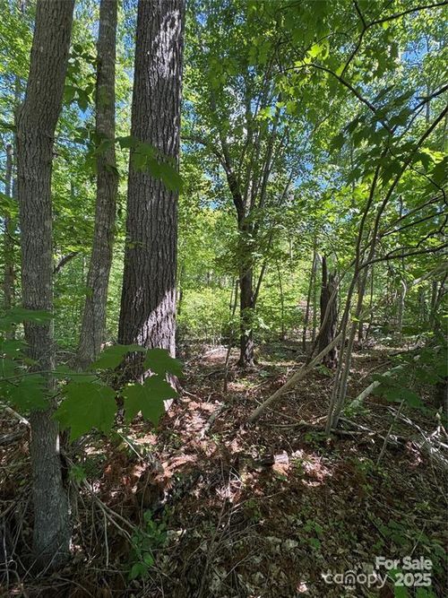 0 Creekwood Dr, Morganton, NC, 28655 | Card Image