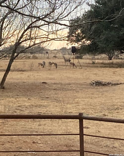 TBD County Road 430, Pleasanton, TX, 78064 | Card Image