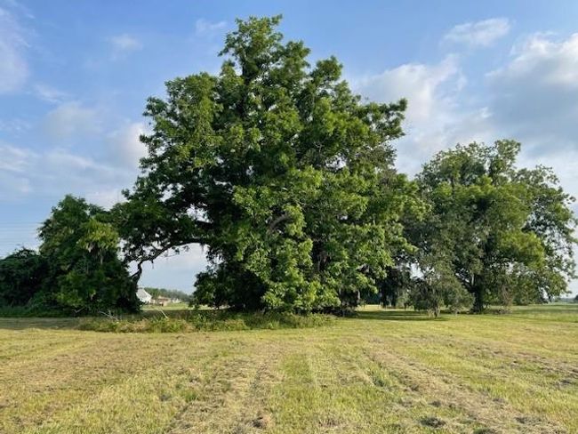 178 Horse Shoe Trl, Home with 0 bedrooms, 0 bathrooms and null parking in Angleton TX | Image 5