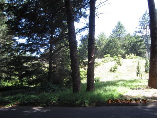 53 Madrone Rd, Whitethorn, CA, 95589-9180 | Card Image