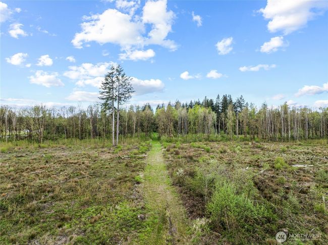 4949 Jackson Hwy, Home with 0 bedrooms, 0 bathrooms and null parking in Toledo WA | Image 6