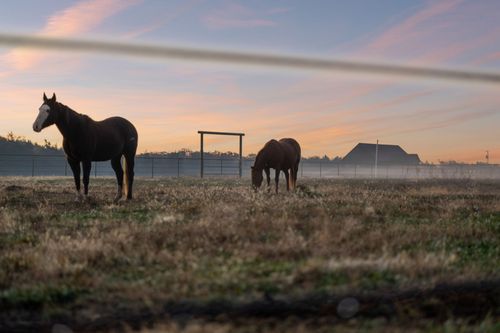 201 Lamb Rd, Rockvale, TN, 37153-8528 | Card Image