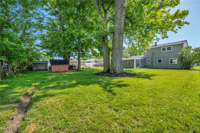 View of yard with a shed | Image 43