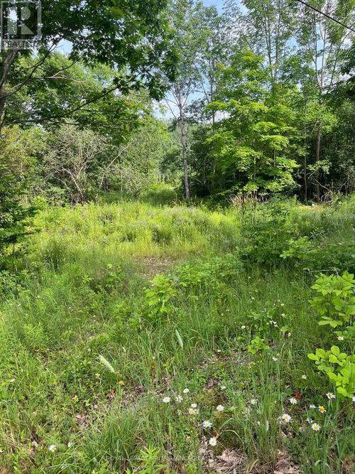 0 Pt Lt 14 Con 3, Rideau Lakes, ON, K0G1X0 | Card Image