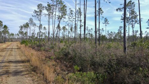 49 Circle Block Loop, PERRY, FL, 32348 | Card Image