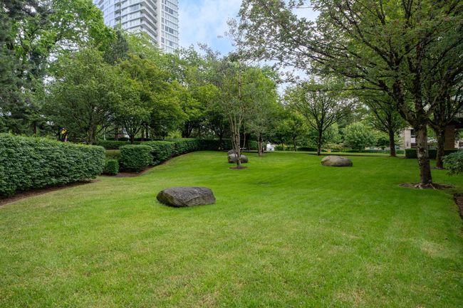 View of grassy yard | Image 25