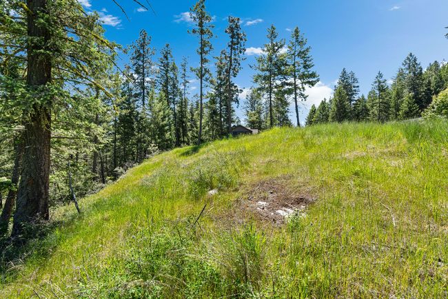 394 Windsor Ct, Home with 0 bedrooms, 0 bathrooms and null parking in Bigfork MT | Image 13