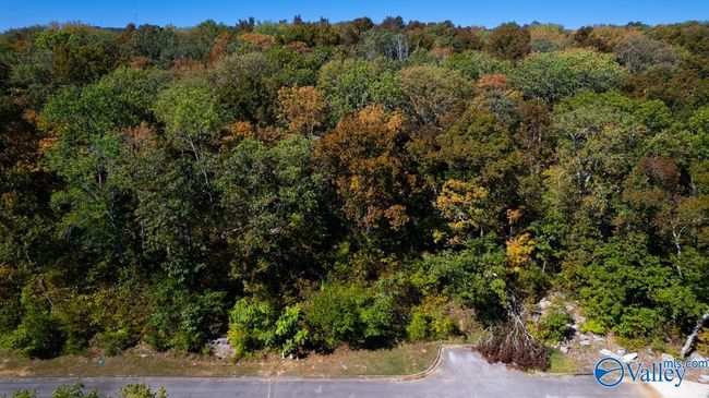 7010 Ridge Crest Rd, Home with 0 bedrooms, 0 bathrooms and null parking in Owens Cross Roads AL | Image 4