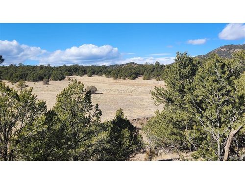 311 Kit Carson Trl, Cotopaxi, CO, 81223-9834 | Card Image