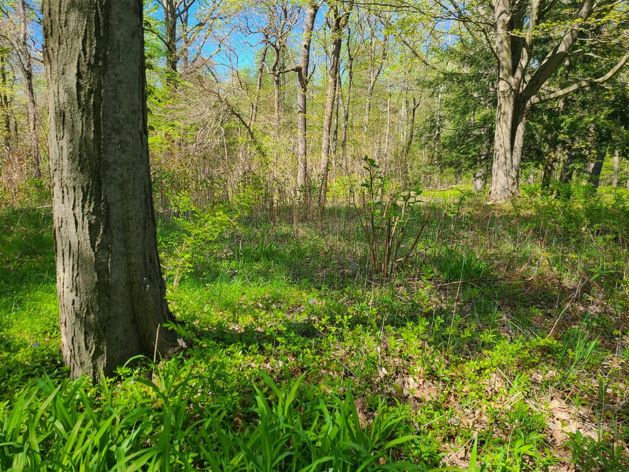 Chestnut Ave, Coloma, MI 49038