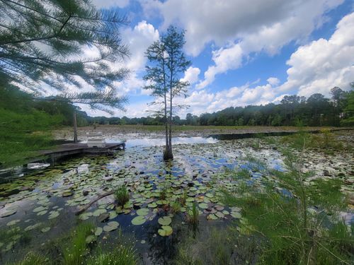 1989 Juniper Lake Rd, Defuniak Springs, FL, 32433-5204 | Card Image