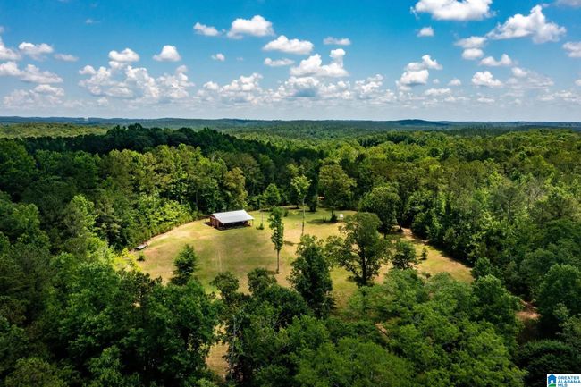 4626 Simpson Rd, House other with 4 bedrooms, 3 bathrooms and null parking in DAVISTON AL | Image 13