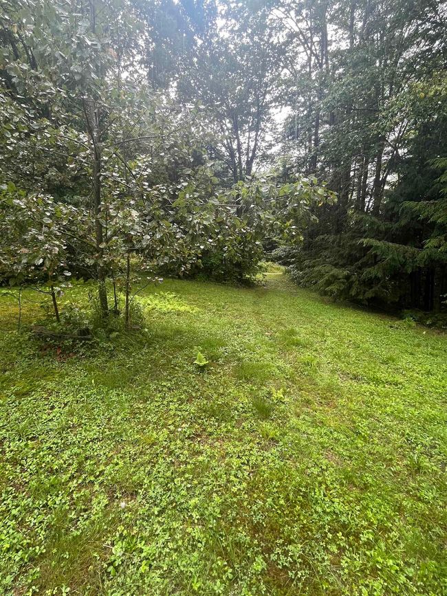 603 Corporation Rd, House other with 2 bedrooms, 0 bathrooms and null parking in Rochester VT | Image 5