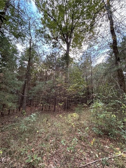 350 Walker Gravel Pit Rd, Dry Prong, LA, 71423-3650 | Card Image