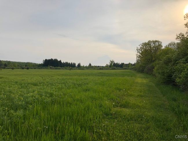 37224 County Route 4, Home with 0 bedrooms, 0 bathrooms and null parking in Clayton NY | Image 8