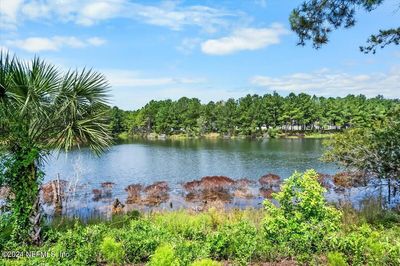 1434 Lake Foxmeadow Road, House other with 4 bedrooms, 3 bathrooms and null parking in Middleburg FL | Image 1