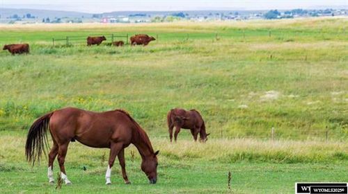 830 Longview Lane Land Only Lot A, Lander, WY, 82520-825 | Card Image