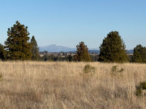 15211 N Wood Rd, Nine Mile Falls, WA, 99026-9743 | Card Image