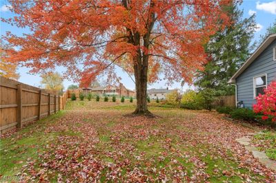 View of yard | Image 2