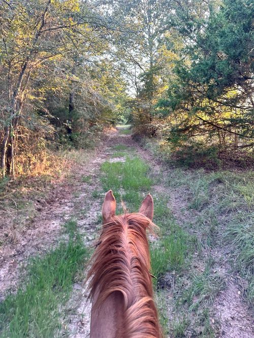 0000 Country Ln, Lone Oak, TX, 75453 | Card Image