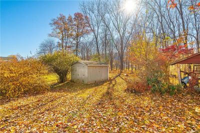 View of yard with a storage unit | Image 3