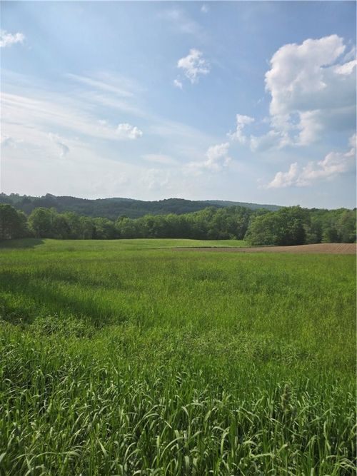 0 Backus Rd, Mount Vision, NY, 13810 | Card Image