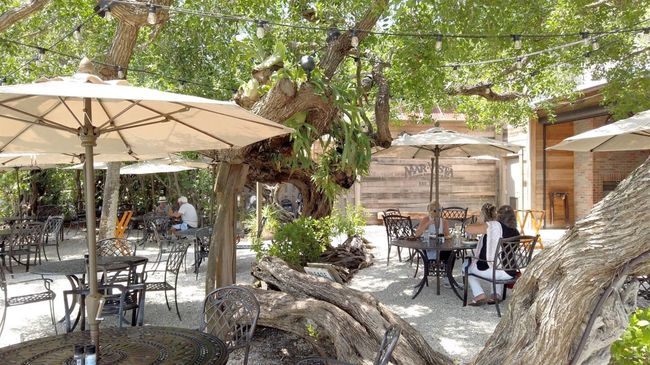 Enjoy unique dining under the buttonwood trees. | Image 35